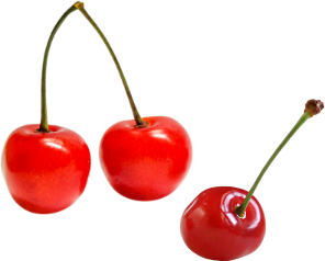 教育・保育目標